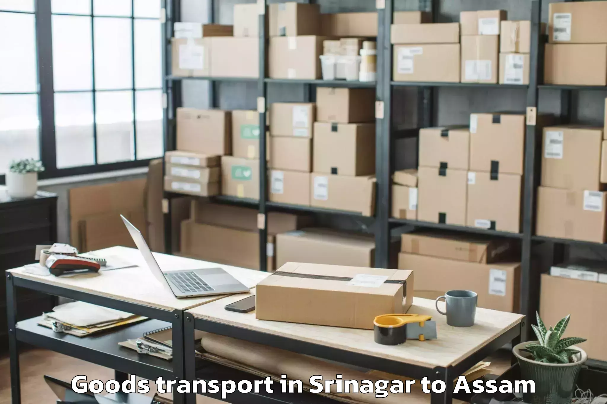 Book Your Srinagar to Bilasipara Goods Transport Today